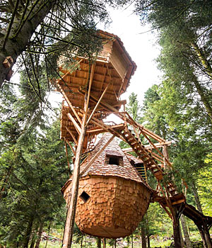 Cabane dans les arbres sud