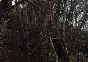 Dans la cabane au fond du jardin francis cabrel